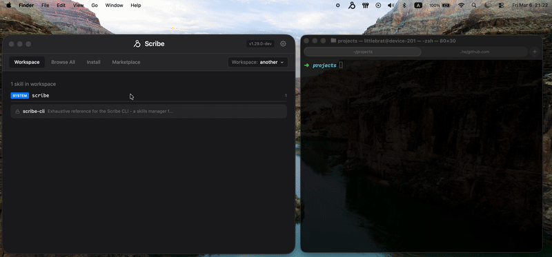 Animated Scribe demo showing the setup wizard and skill manager interface